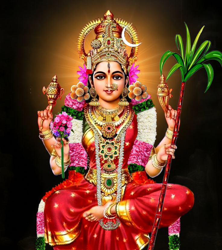 Day 5 Navaratri Lalitha Tripura Sundari Devi  Puja